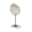 Mercana Sandy II (Medium) 6L x 3W White Coastal Sand Dollar Object