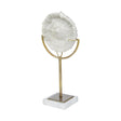 Mercana Sandy III (Large) 8L x 4W White Coastal Sand Dollar Object