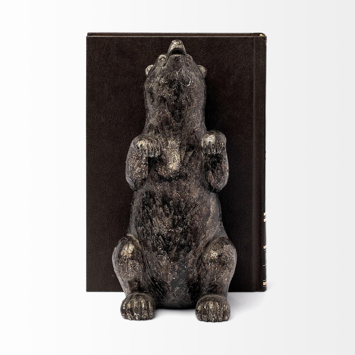 Mercana Sleuth (Set of 2) 9L x 8W Grizzly Bear Bookends