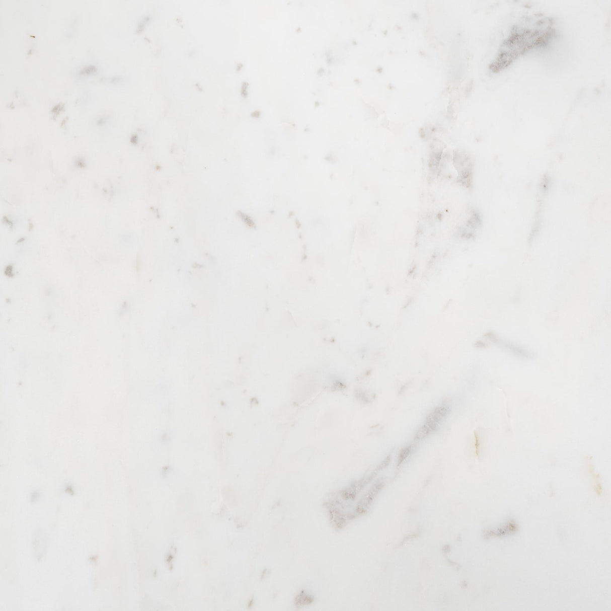 Mercana Etienne 36" Round White Marble Top Black Metal Base Coffee Table