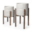 Mercana Groot Set of Two 11.8 x 23 Eggshell Ceramic Wooden Base Plant Stands