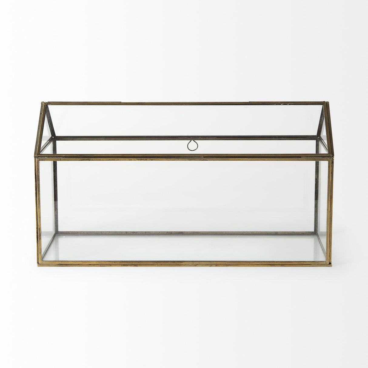 Mercana Hutt 16L x 6W x 9H Gold Glass Terrarium Box