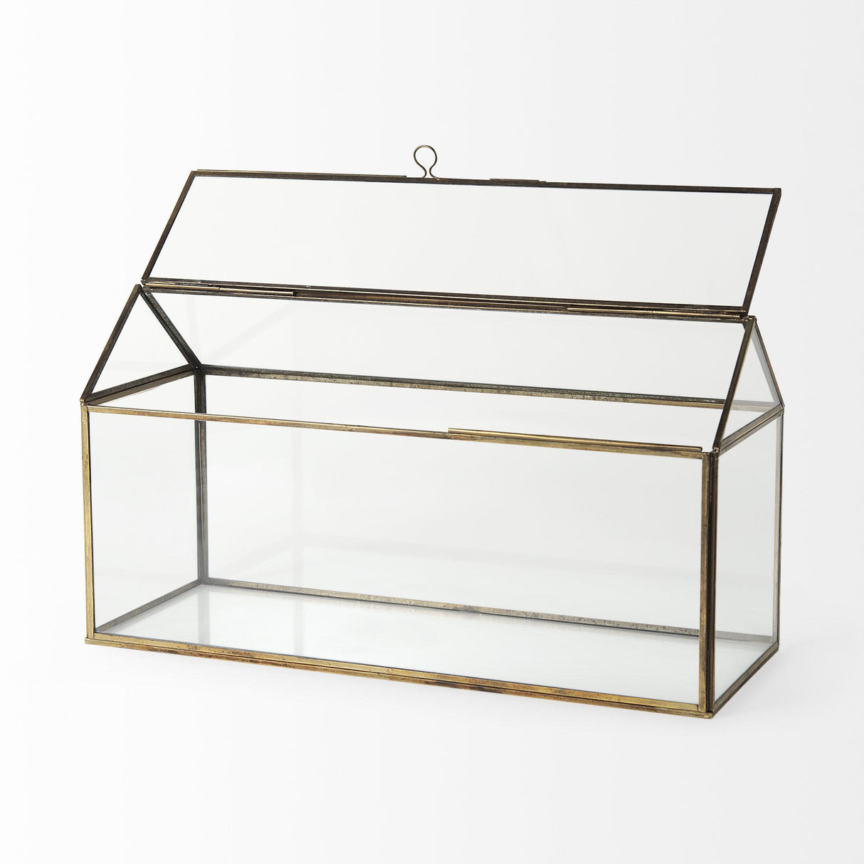 Mercana Hutt 16L x 6W x 9H Gold Glass Terrarium Box