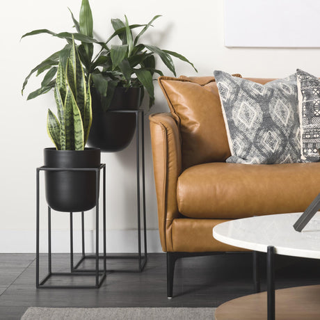 Mercana Bumble (Set of 2) 12L x 12W x 32H Black Plant Stands