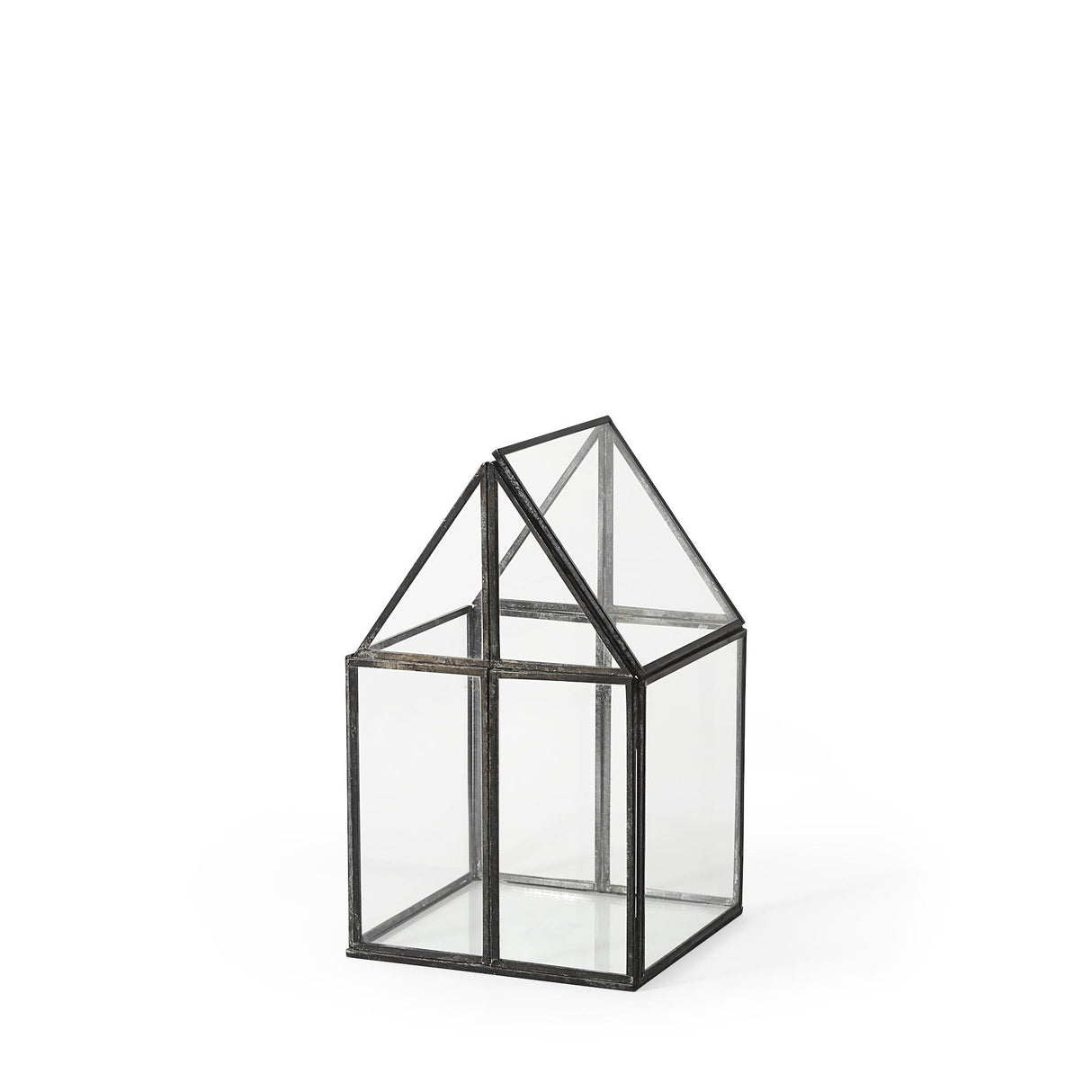 Mercana Sikes (Small) 6L x 6W x 10H Glass Terrarium