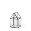 Mercana Sikes (Small) 6L x 6W x 10H Glass Terrarium
