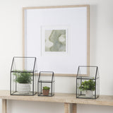 Mercana Sikes (Small) 6L x 6W x 10H Glass Terrarium