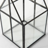 Mercana Sikes (Small) 6L x 6W x 10H Glass Terrarium