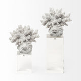 Mercana Isla (Large) 5L x 5W White Replica Resin Coral On Clear White Glass