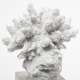 Mercana Isla (Large) 5L x 5W White Replica Resin Coral On Clear White Glass