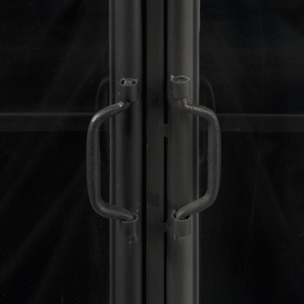 Mercana Poppy III 40L x 16W Black Metal With Glass Door Accent Cabinet