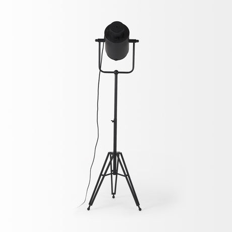 Mercana Debdou 22L x 22W x 61H Black and White Metal Adjustable Cinema-Style Floor Lamp
