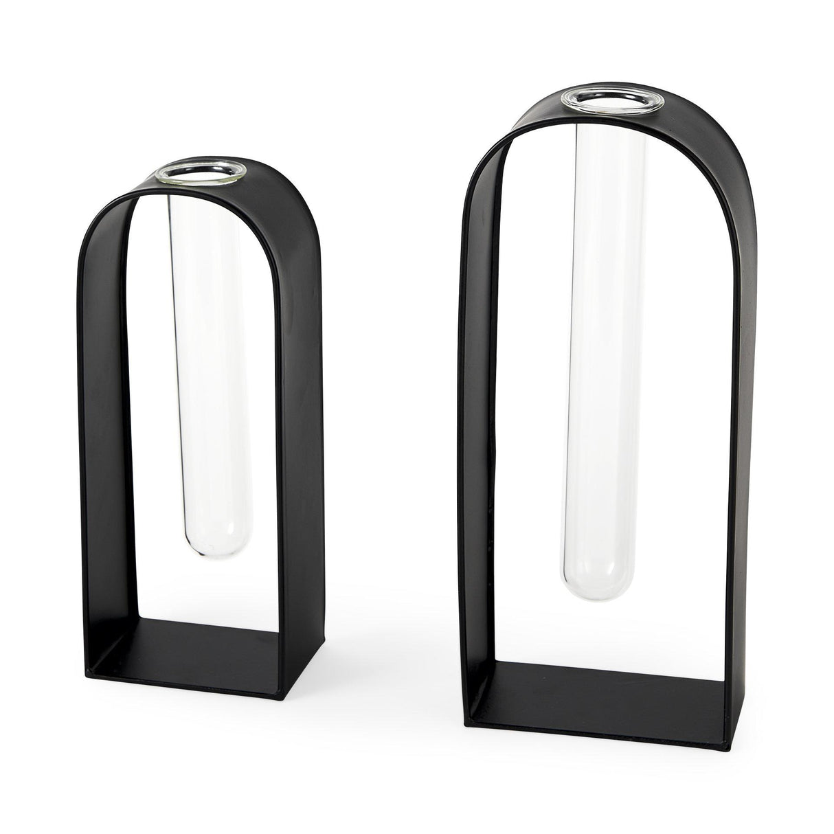 Mercana Boyer 5.1L x 3.0W x 12.0H Black Metal W/Glass Set of Two Test Tube Decorative Objects