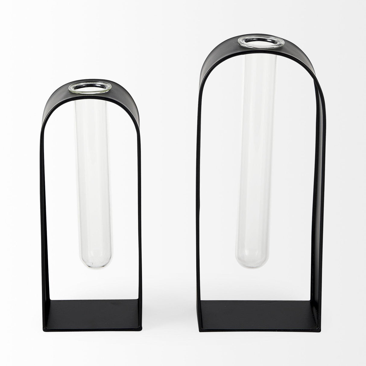Mercana Boyer 5.1L x 3.0W x 12.0H Black Metal W/Glass Set of Two Test Tube Decorative Objects