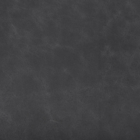 Mercana Direttore 19.3L x 19.3W x 40.2H Black Leather W/Black Frame Counter Stool