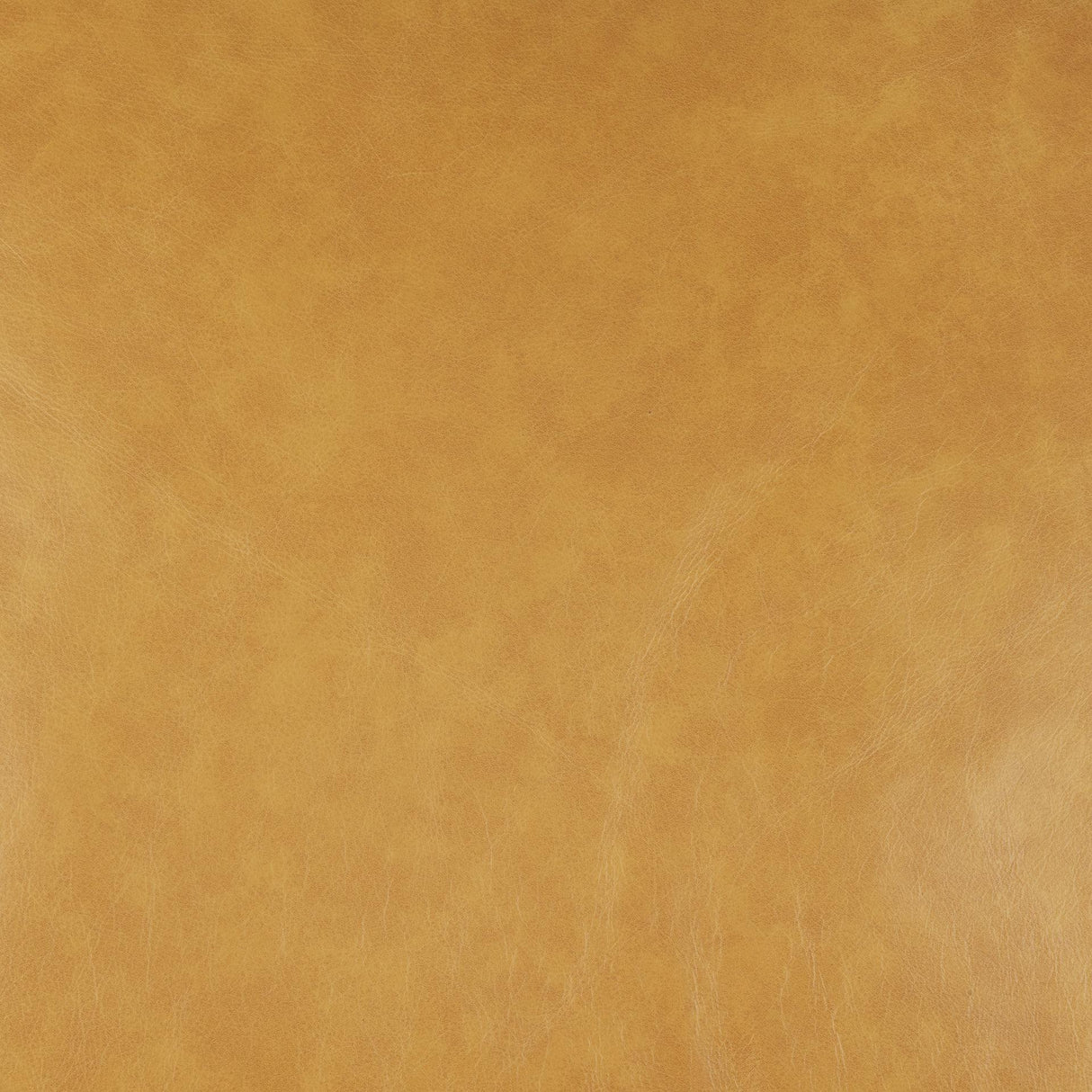 Mercana D'Arcy 88.0L x 37.0W x 34.0H Tan Leather Sofa