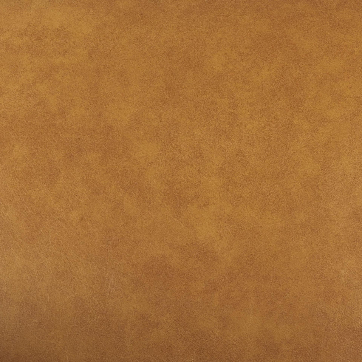 Mercana D'Arcy 65.0L x 37.0W x 34.0H Tan Leather Love Seat