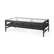Mercana Arelius 42"L Rectangular Glass-Top Black-Brown Wood w/ Black Metal Base Display Coffee Table
