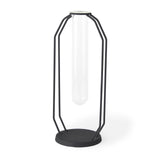 Mercana Aria 4.5L x 3.9W x 11.0H Metal and Glass Holder Object