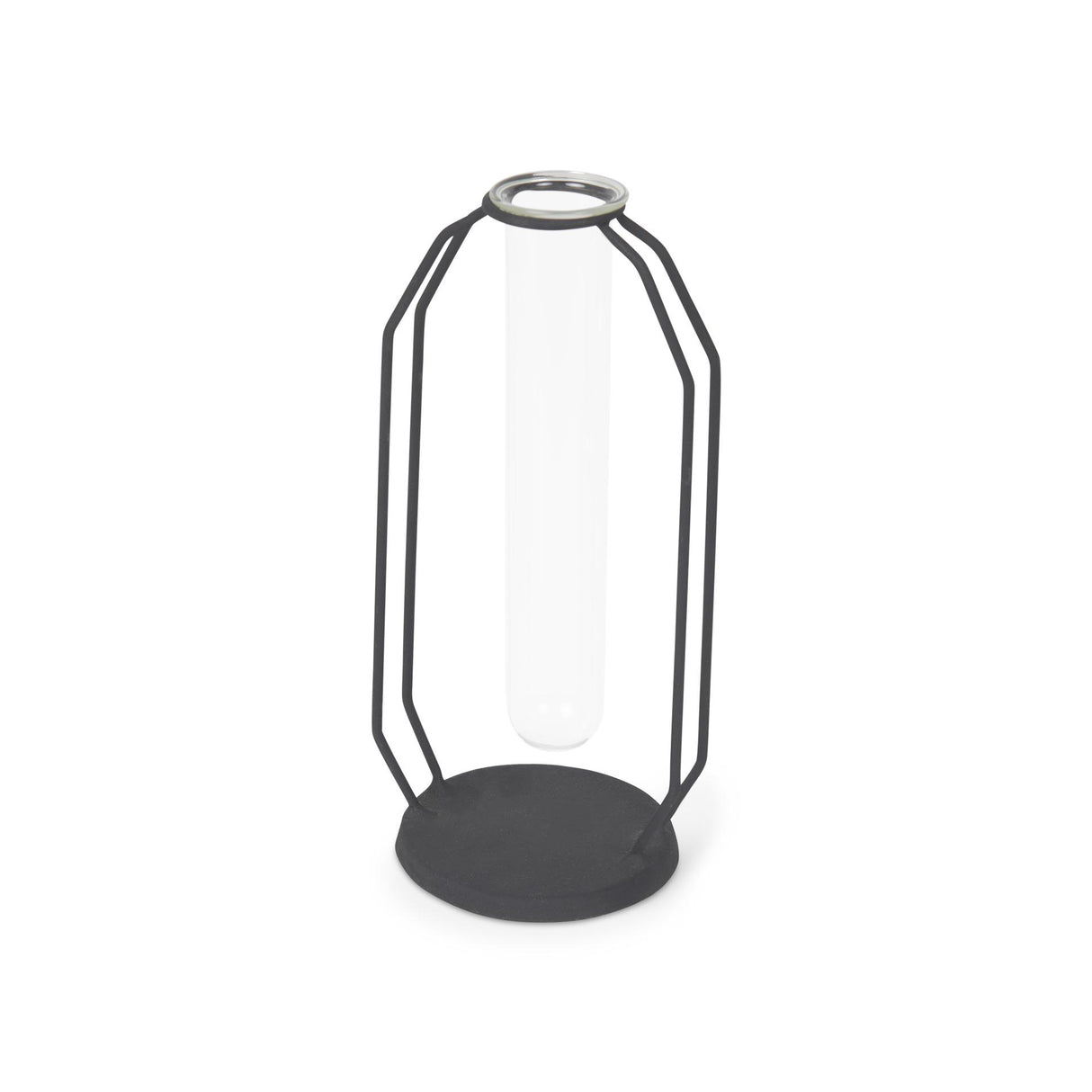 Mercana Aria 4.3L x 3.9W x 9.6H Metal and Glass Decorative Accent