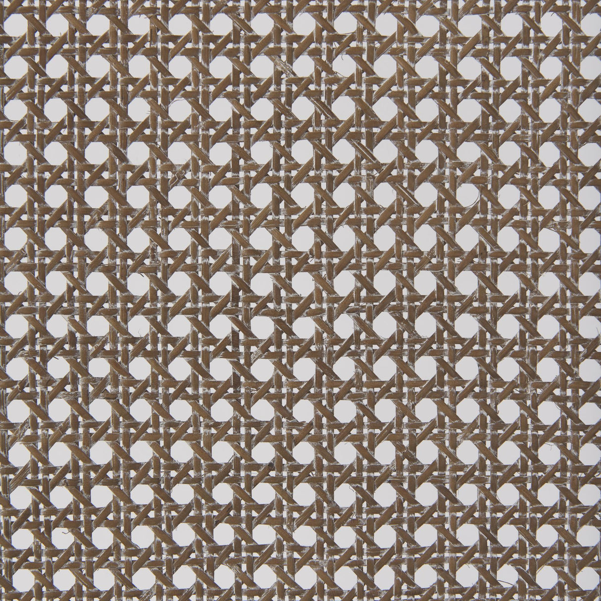 Mercana Wynn Fabric W/Brown Wood Dining Chair