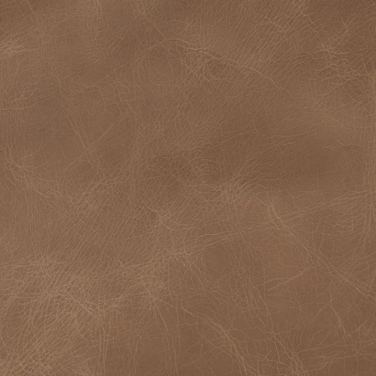 Mercana Raeleigh 28.0L x 34.1W x 34.4H Cognac Leather W/ Light Brown Wood Frame Accent Chair