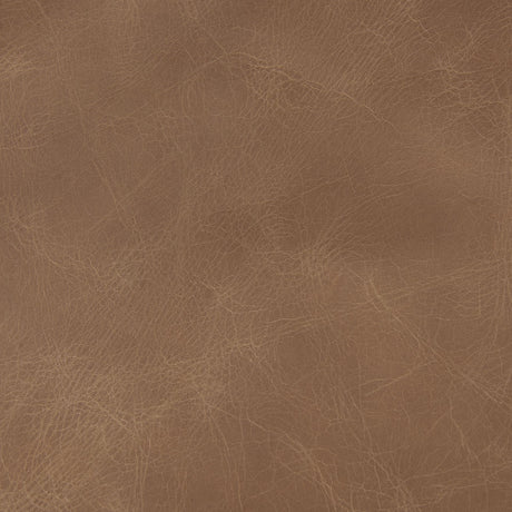 Mercana Raeleigh 28.0L x 34.1W x 34.4H Cognac Leather W/ Light Brown Wood Frame Accent Chair