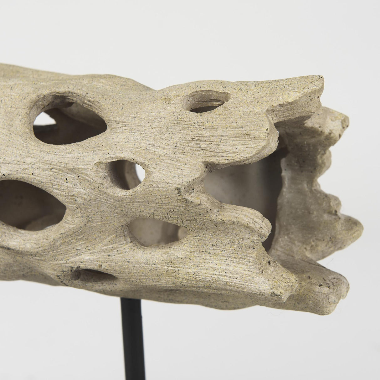 Mercana Dwell Cholla Wood Resin Decorative Object
