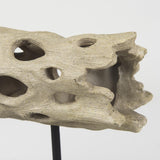 Mercana Dwell Cholla Wood Resin Decorative Object