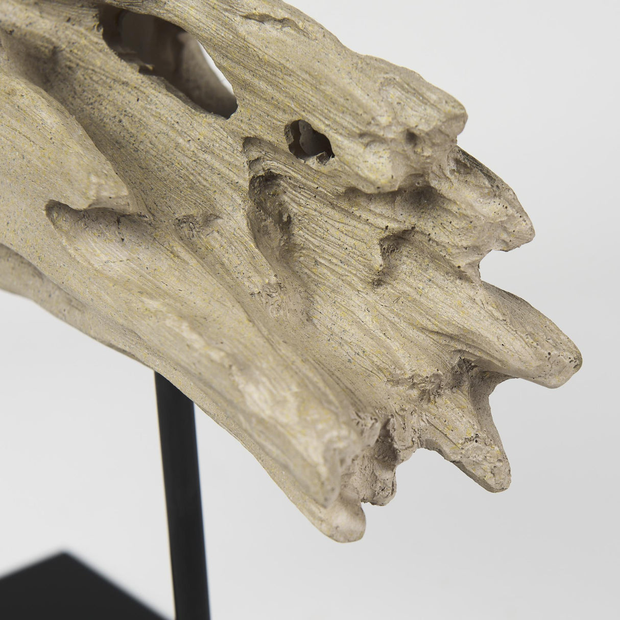 Mercana Dwell Cholla Wood Resin Decorative Object