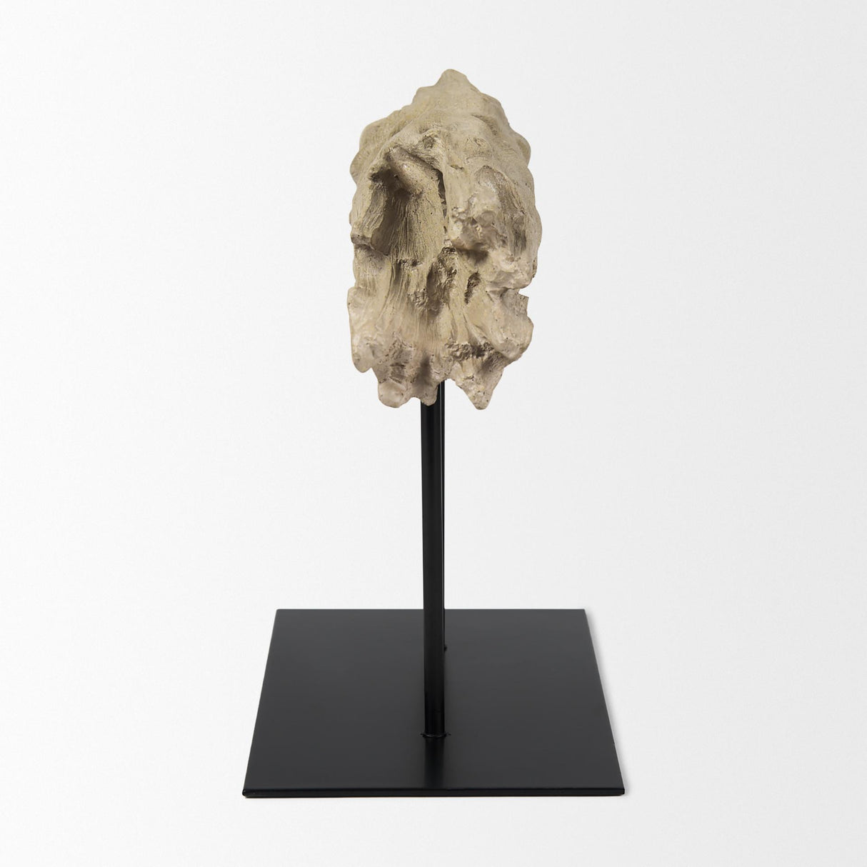 Mercana Dwell Cholla Wood Resin Decorative Object
