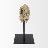 Mercana Dwell Cholla Wood Resin Decorative Object