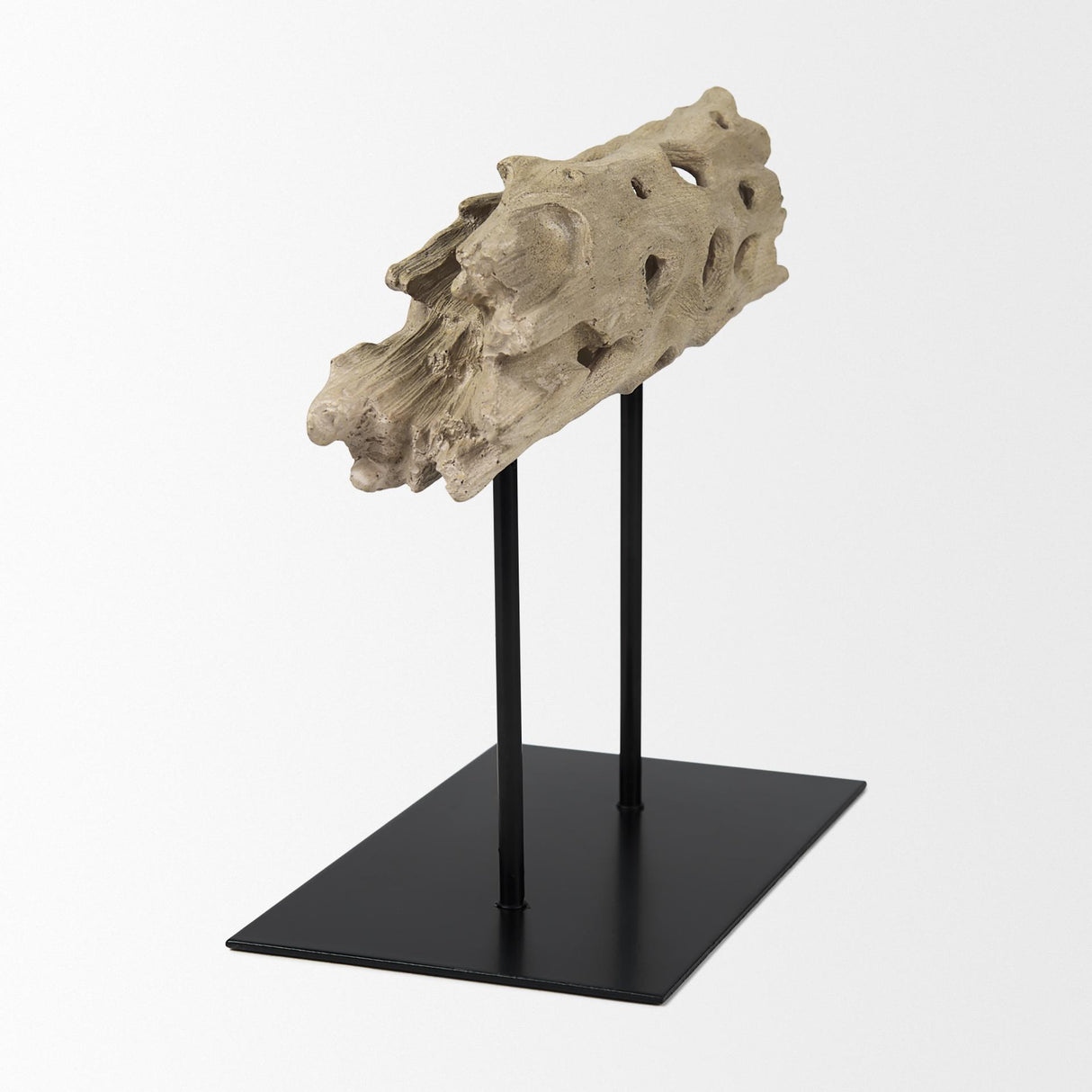 Mercana Dwell Cholla Wood Resin Decorative Object