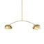 Mercana Cybill Brushed Brass w/ White Metal Shades 2-Light Chandelier