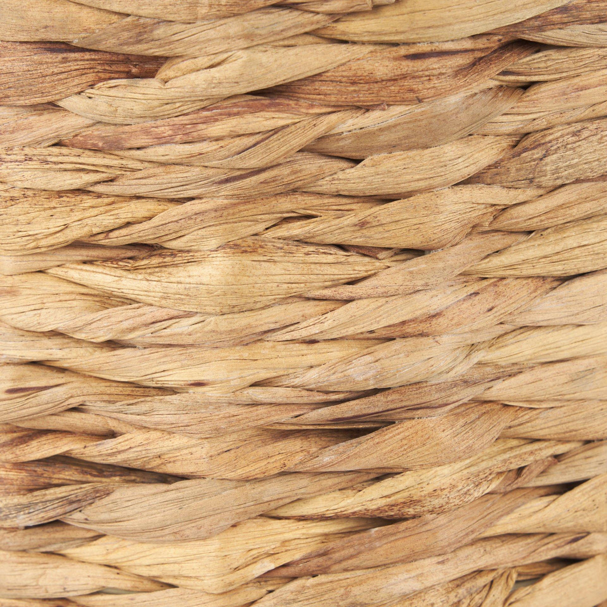 Mercana Tamuz Grass Baskets (Set of 2)
