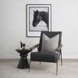 Mercana Grosjean Black Leather w/ Black Metal Frame Accent Chair
