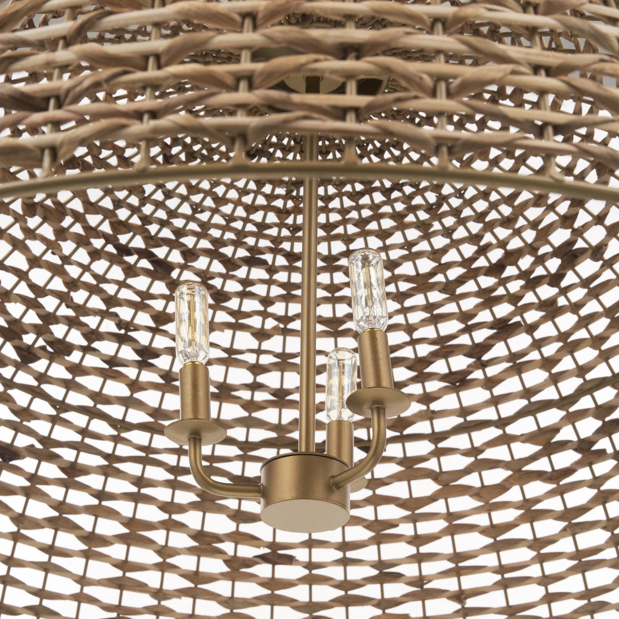 Mercana Sana Extra Large Watergrass Pendant Light