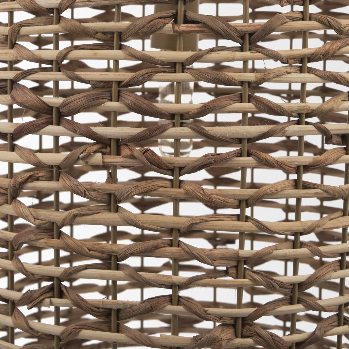 Mercana Sana Tall Watergrass Pendant Light