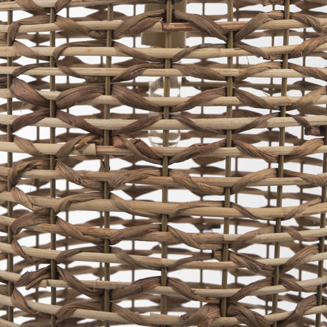 Mercana Sana Tall Watergrass Pendant Light