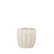 Mercana Velia Short Seashell Sculptural Cream Glazed Ceramic Vase