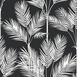 York Wallcoverings King Palm Silhouette Blue Wallpaper