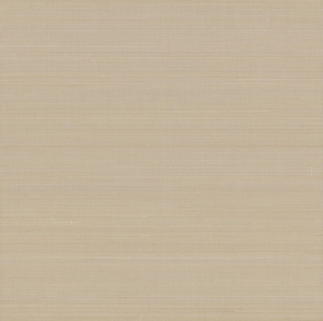Ronald Redding Designs Abaca Weave Beige Wallpaper