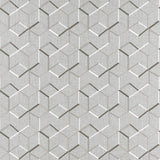 Clarke & Clarke LINEAR CHARCOAL Fabric