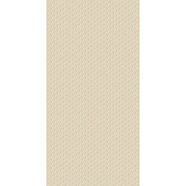 G P & J Baker DOTTY PARCHMENT Wallpaper