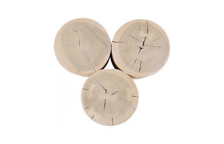 Phillips Collection Triflora Bleached Small Side Table