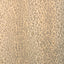 Lee Jofa SAFARI WARP PRINT DESERT Fabric