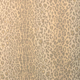 Lee Jofa SAFARI WARP PRINT DESERT Fabric
