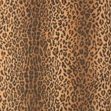 Lee Jofa SAFARI WARP PRINT CANYON Fabric