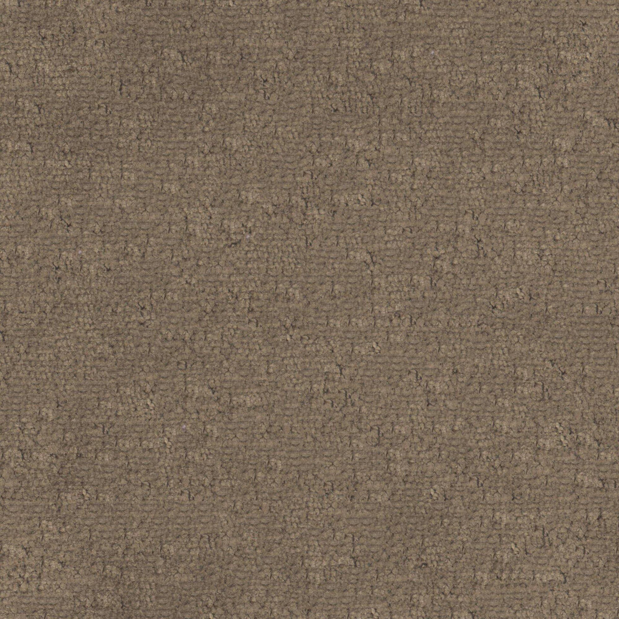 Maxwell BRAVA #810 BROWNIE Fabric