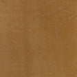 Maxwell BENNETT #705 BUTTERSCOTCH Fabric